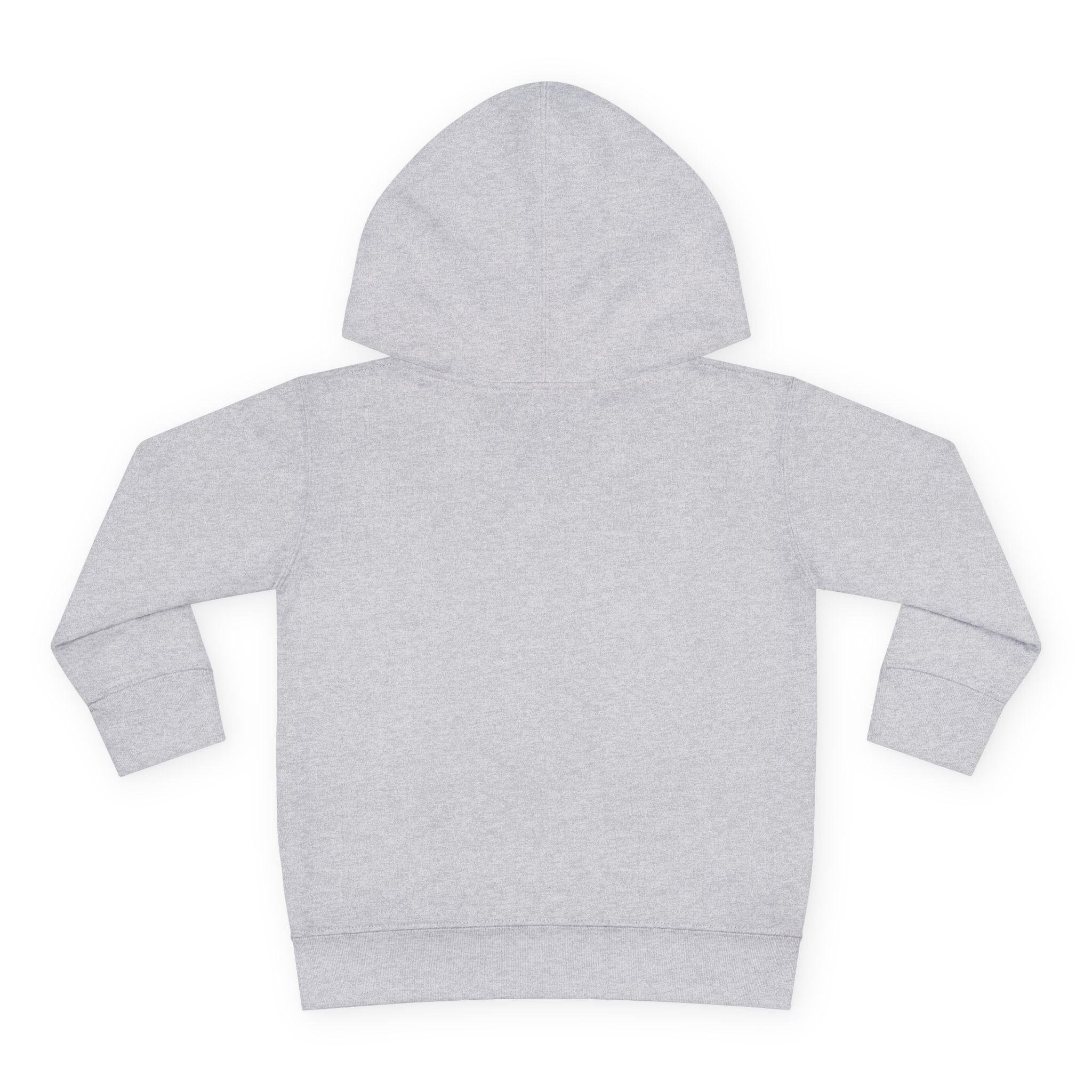 Toddler Beach Babe Hoodie